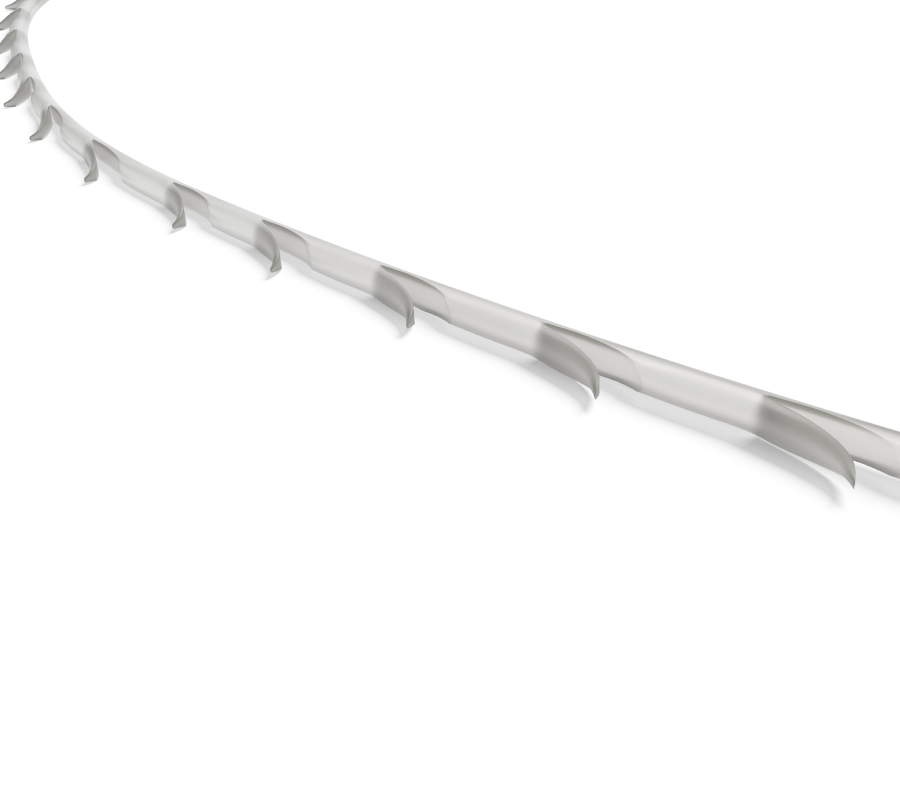 Excellence Elegance (EE)